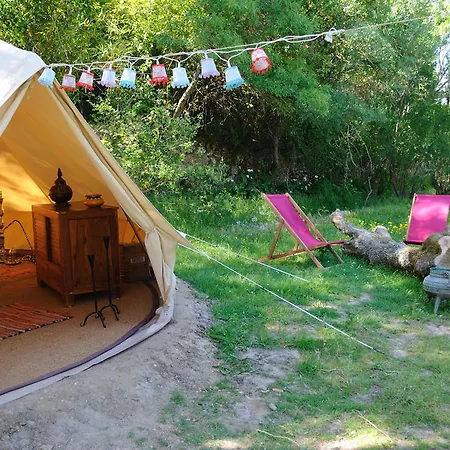 Luxury tent Oasis