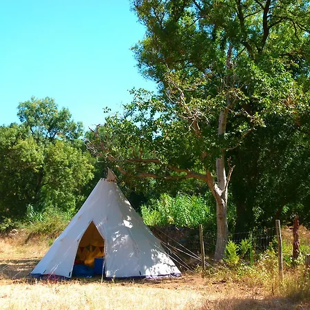 Luxury tent Oasis Cascais