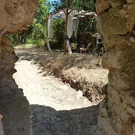 Oasis