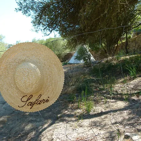 Lüks kamp alanı Oasis *