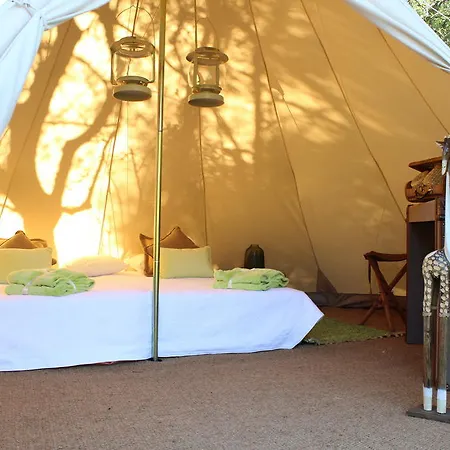 Lüks kamp alanı Oasis *