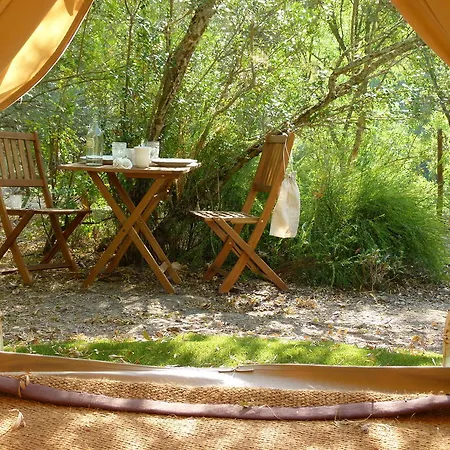 Oasis
