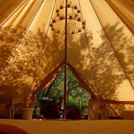 Lüks kamp alanı Oasis