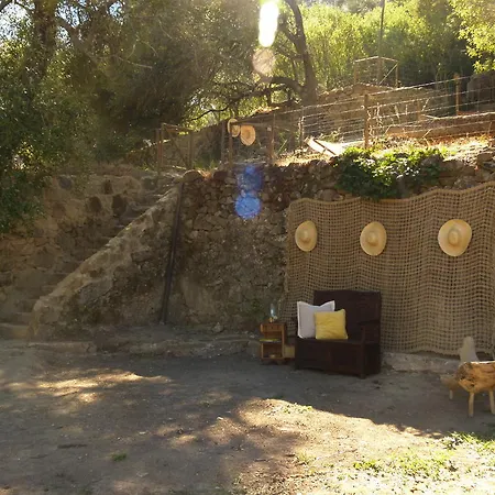 Oasis