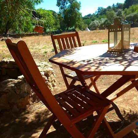 Lüks kamp alanı Oasis