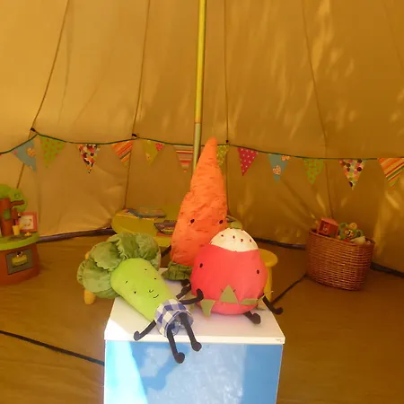 Lüks kamp alanı Oasis *