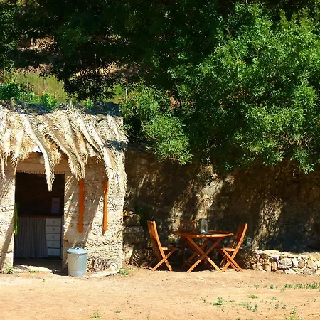 Lüks kamp alanı Oasis
