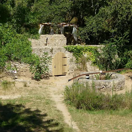 Lüks kamp alanı Oasis