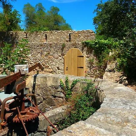 Lüks kamp alanı Oasis *